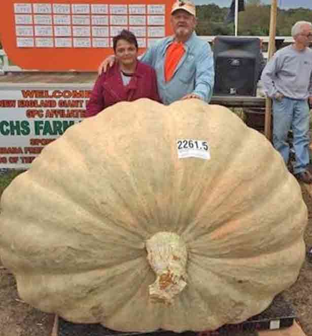 Gourd Almighty! Father Smashes Son’s Giant Pumpkin Record