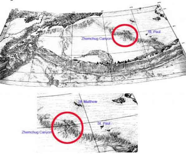 A map of the sea floor off western Alaska showing Zhemchug Canyon, one of the largest canyons in the world. From a 1970 paper in Marine Geology by D. Scholl, E. Buffington, D. Hopkins and T. Alpha.