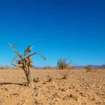 Effects Of Climate Change. Image-Public domain