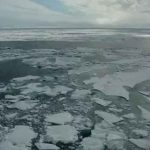 Arctic sea ice, as seen from an ice breaker ship in 2014.Bonnie Light/University of Washington