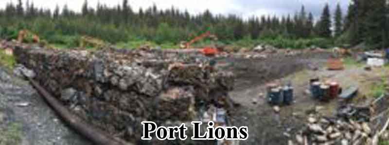 port-lions