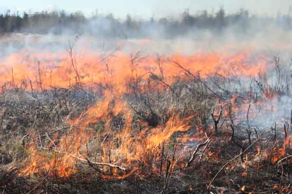 BLM AFS, USARAK Implement Successful Prescribed Fire Projects in Fall and Spring
