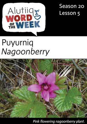 Nagoonberry-Alutiiq Word of the Week-July 30th