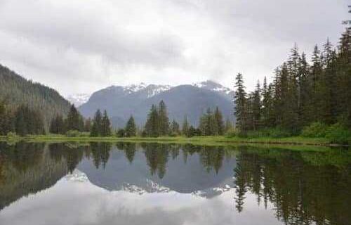 Biden Administration Moves to Restore Protections for Tongass National Forest