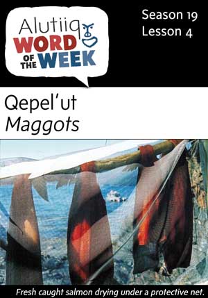 Maggots-Alutiiq Word of the Week-July 23rd