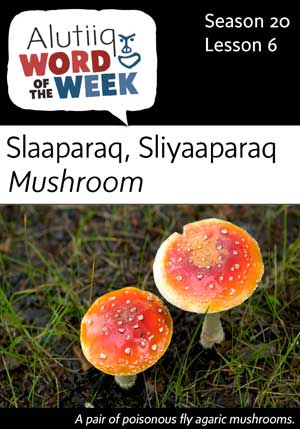 Mushroom-Alutiiq Word of the Week-August 6th