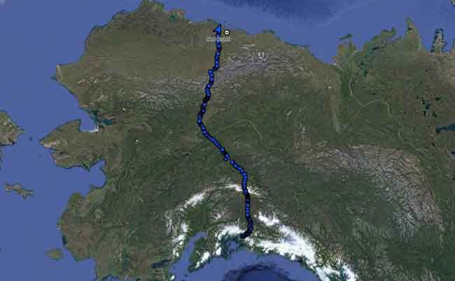 Hike across Alaska Ends with After-Dinner Bear