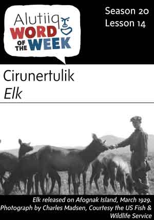 Elk-Alutiiq Word of the Week-October 1