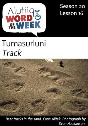 Track/Stalk-Alutiiq Word of the Week-October 15th