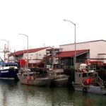 Norton Sound crabbers docked at Norton Sound Seafoods. Image-NSSP website
