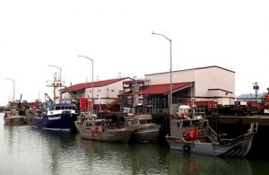 Norton Sound crabbers docked at Norton Sound Seafoods. Image-NSSP website