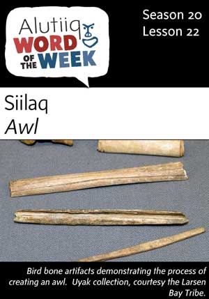 Awl-Alutiiq Word of the Week-November 26th