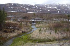 A dam on Phelan Creek near Isabel Pass. Image-Ned Rozell