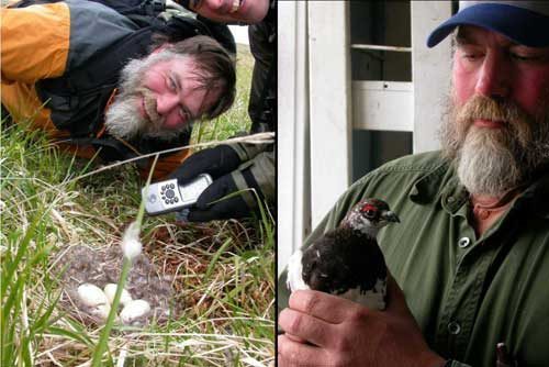Biologist Trapper Retires after Helping Transform Aleutians