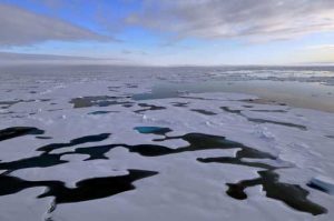 Arctic sea ice. Image-NSIDC