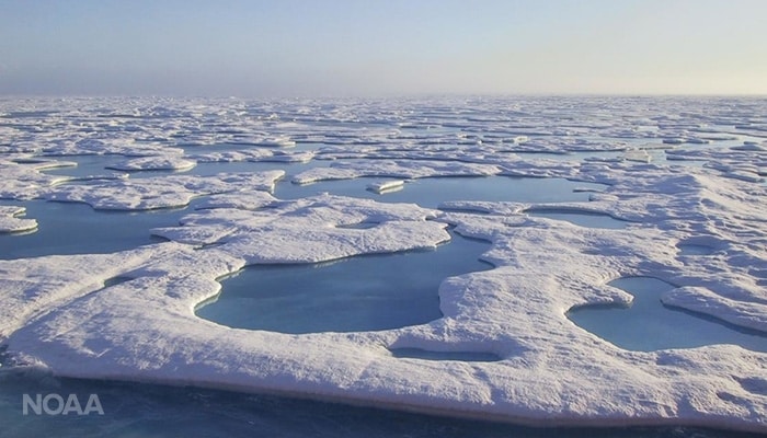 The Changing Planet, a Changing Arctic