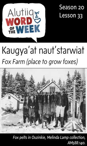 Fox Farm-Alutiiq Word of the Week-February 11th