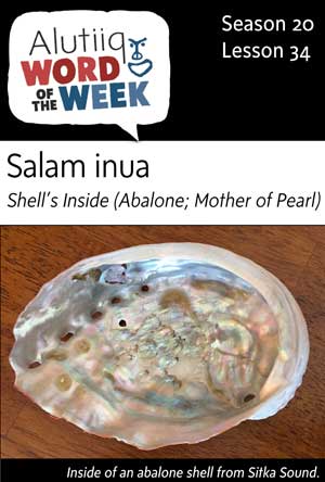 Abalone-Alutiiq Word of the Week-February 18th