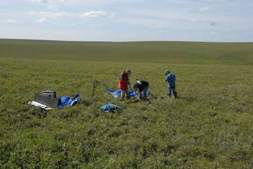 Scientists Find Massive Reserves of Mercury Hidden in Permafrost