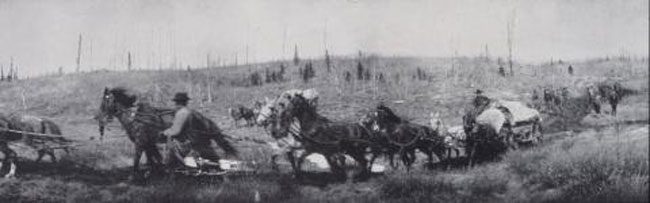 A surveying crew marking the 141st Meridian between Canada and Alaska in 1912 slogs along a muddy trail. NOAA Photo Library.