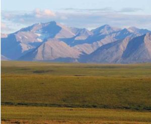 Permafrost underlies much of this tundra landscape in Alaska, as well as similar areas in the circumpolar North. Permafrost contains substantial stores of carbon that are vulnerable to release as climate warms. Photo courtesy of Christina Schädel