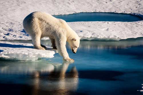 Wind, Sea Ice Changes Suggest Climate Change in Western Arctic