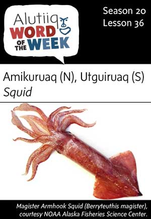 Squid-Alutiiq Word of the Week-March 4th
