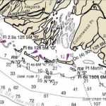 General area at the mouth of the Copper River where the slain Sea Lions were found. Image-NOAA