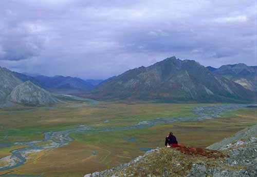 Reconciliation to move forward with Arctic Refuge oil program repeal in place