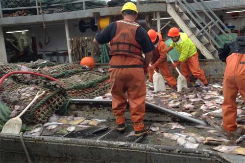 NOAA Fisheries Seeks Comment on Plan for Abundance-Based Management of Halibut in the Bering Sea