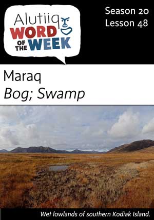 Bog/Swamp-Alutiiq Word of the Week-May 27th