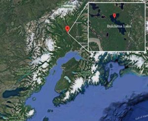 Location of Bulchitna Lake. Image-Google Maps