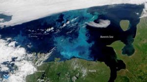 This true-color image, captured by the NOAA-20 satellite on July 30, 2018, shows a large phytoplankton bloom in the Barents Sea. Credit: NOAA Environmental Visualization Laboratory