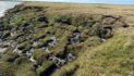 Global study indicates widespread permafrost degradation