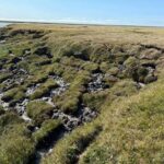 Global study indicates widespread permafrost degradation Permafrost degradation. Image-Kathleen Garrigan