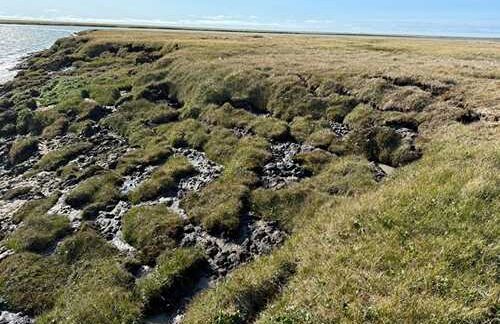Global study indicates widespread permafrost degradation