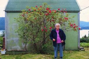 Photo:  Alexandra (Sacha) Smith standing in front of a Pacific Red Elder bush in fruit, ca. 1991.  Photo by Priscilla Russell, KANA collection.
