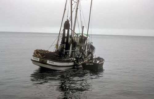 Fishing Boat-Alutiiq Word of the Week