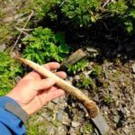 Photo: Digging stick made from a sea mammal rib, Sitkinak Island, AM997