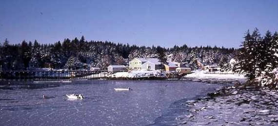 Ice-Alutiiq Word of the Week