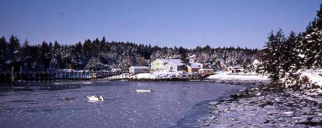 Ice-Alutiiq Word of the Week