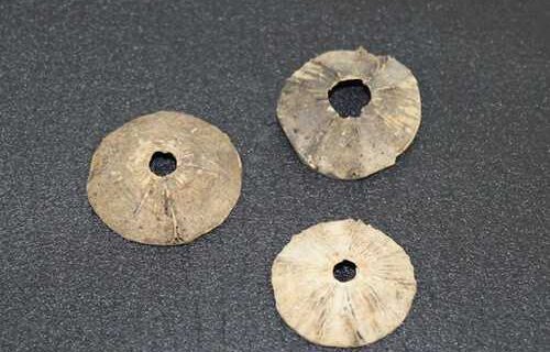 Vertebra-Alutiiq Word of the Week