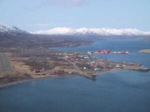 Photo: Aerial view of Larsen Bay, 2001.
