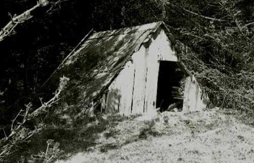 Shed-Alutiiq Word of the Week