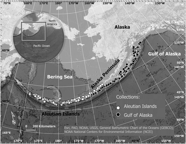 Location of northern rockfish collection sites during 2013–2019. Credit: NOAA Fisheries.
