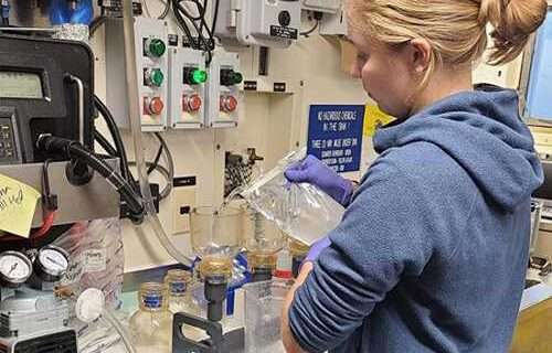 From Water to Data: A Roadmap for Using eDNA in Stock Assessments