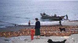 Dog-Alutiiq Word of the Week