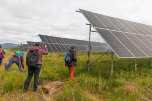 Photo by Amanda Byrd/ACEP
Participants in the 2024 Arctic Remote Energy Networks Academy pick berries and take photos of a solar farm in Shungnak, located north of the Arctic Circle in Alaska.