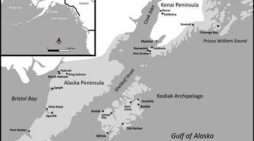 Nanwalek-Alutiiq Word of the Week
