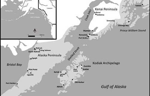 Nanwalek-Alutiiq Word of the Week